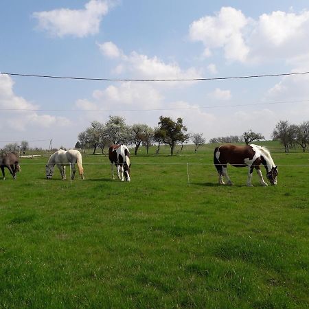 Gite La Besse, Claudon Buitenkant foto