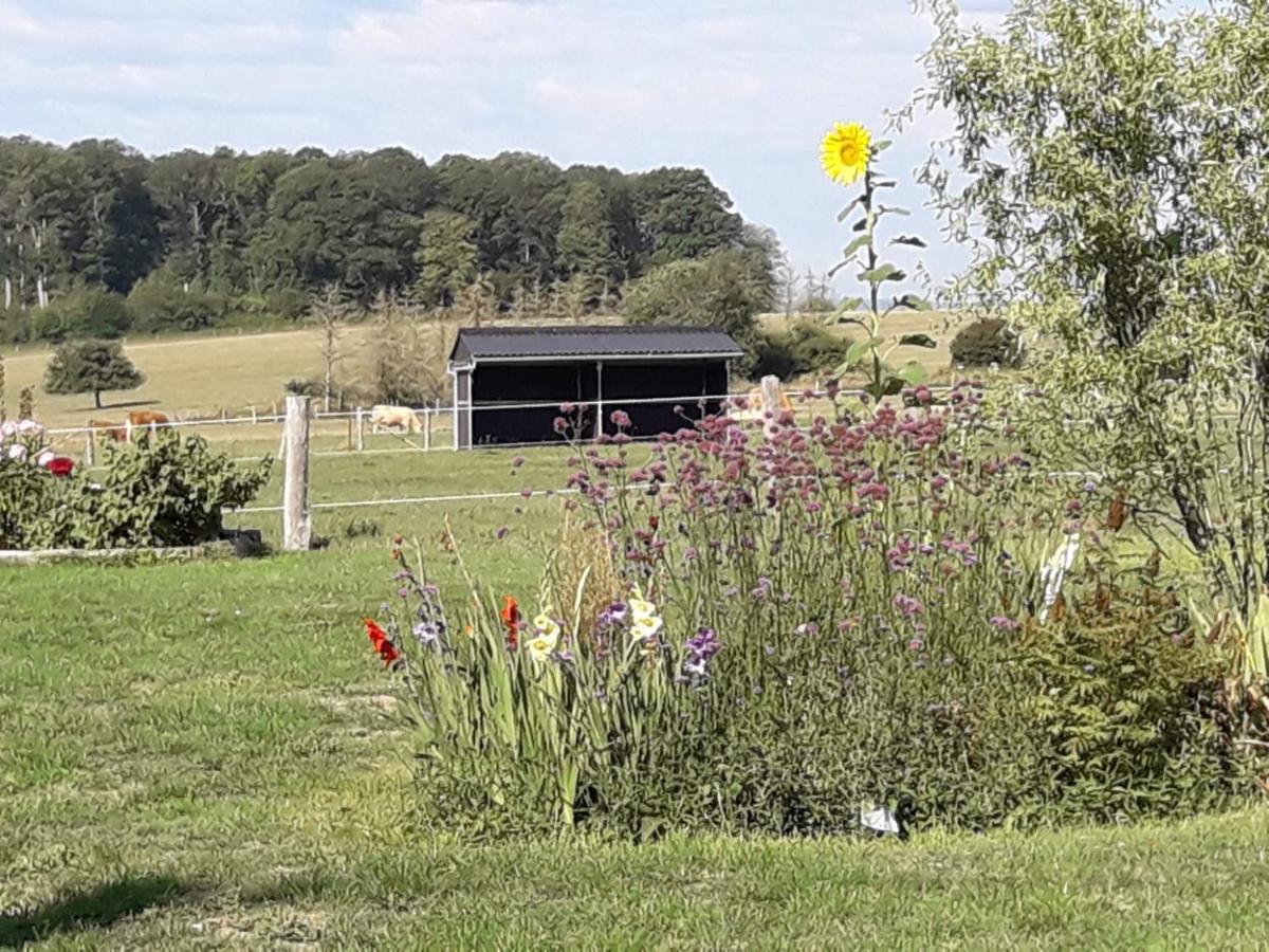 Gite La Besse, Claudon Buitenkant foto